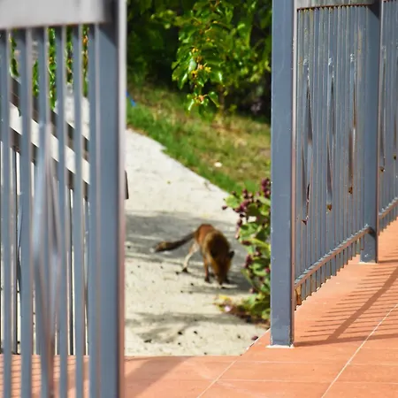 Giardino Del Gelso 아파트 Marconia
