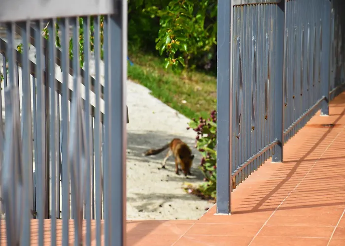 Giardino Del Gelso Apartment Marconia